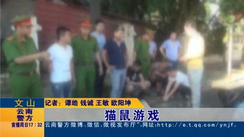 网红走私在线视频