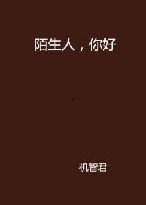 你好陌生人粤语在线视频,粤语在线视频中的温情邂逅