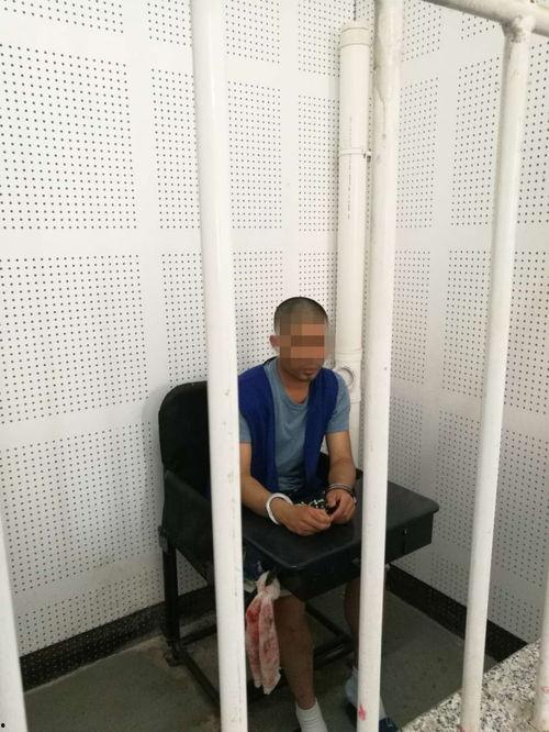 狼友在线视频看