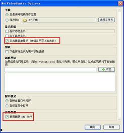 网页在线视频格式,解码网页视频播放的秘密