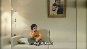 毛还在线视频,揭秘网络红人的崛起与影响力