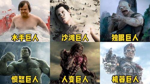 在线视频巨人,揭秘在线视频领域的巨无霸