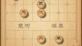 天天象棋在线视频直播间